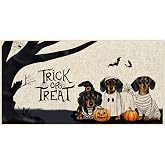 Dlzdn Halloween Dog Door Mat Dachshund Dog Pumpkin Ghost Doormat Holiday Non-Slip Rubber Backed Entryway Rugs for Indoor Outdoor Entrance Floor 16 x 30 Inch