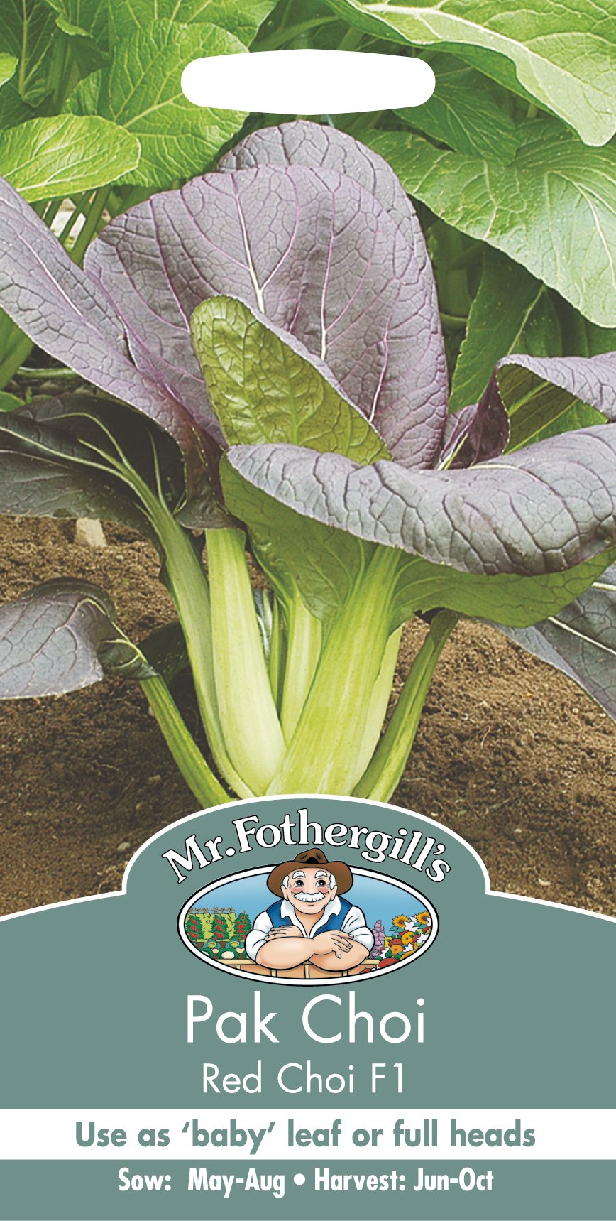 Mr Fothergill's 17135 Vegetable Seeds, PAK Red Choi F1