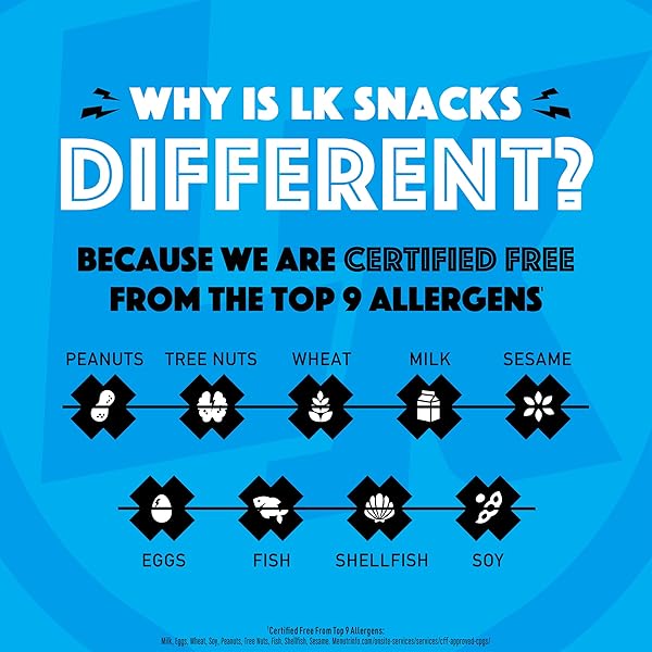LORISSA’S KITCHEN BEEF JERKY MINI STICKS, PREMIUM GRASS FED & FINISHED, ORIGINAL SMOKE SHOW FLAVOR – 4G PROTEIN, ON THE GO SNACKS, FREE FROM TOP 9 ALLERGENS, NON-GMO, GLUTEN-FREE, 0.5 OZ (24 COUNT)
