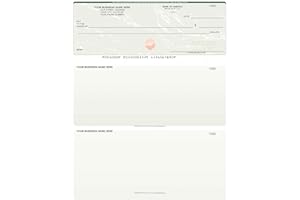 ABC CHECK PRINTING ABC Computer Checks Compatible w/Quick Books, Checks on Top, Green Marble (100 Sheets)