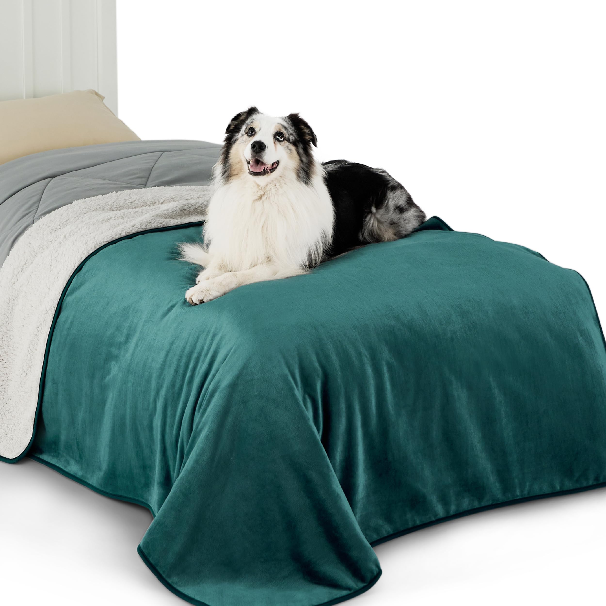 LE SURE Waterproof Fleece Blanket Washable - 152x203cm Blanket For People and Large Dogs, Versatile Twin/Double Dog Throw Protects Bed and Sofa with Soft Plush, Dark Green
