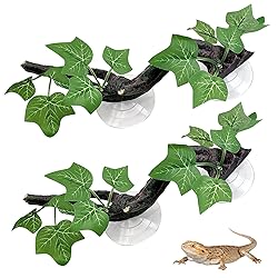PINVNBY 2 PCS Reptile Corner Branch Terrarium Plant