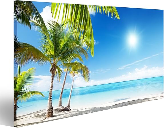 cuadros del mar amazon