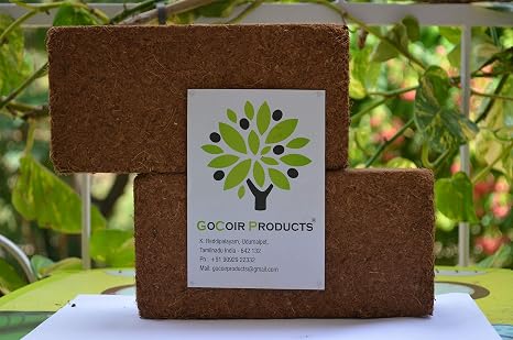 Gocoir Products Cocopeat Agropeat 650 Gms Pack Of 2 Best Potting Soil Mix With Added Nutrients Amazon In Garden Outdoors
