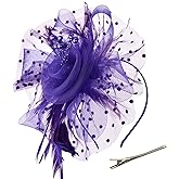 DRESHOW Fascinators Hat Flower Mesh Ribbons Feathers on a Headband and a Clip Tea Party Headwear for Girls and Women