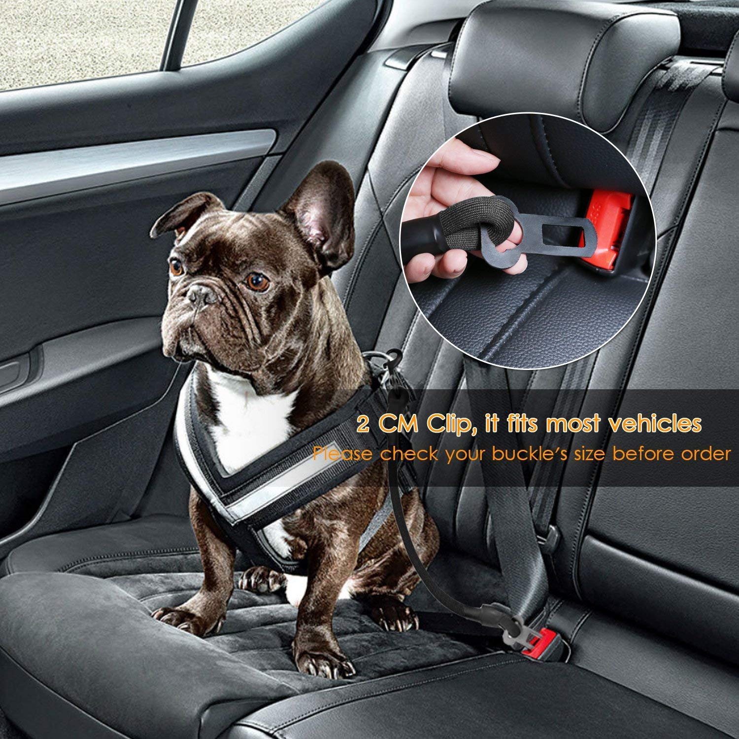 Ceinture Sécurité Chien Voiture IOKHEIRA - Harnais Nylon, Absorption Choc - Taille Réglable
