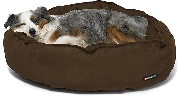 big shrimpy dog beds