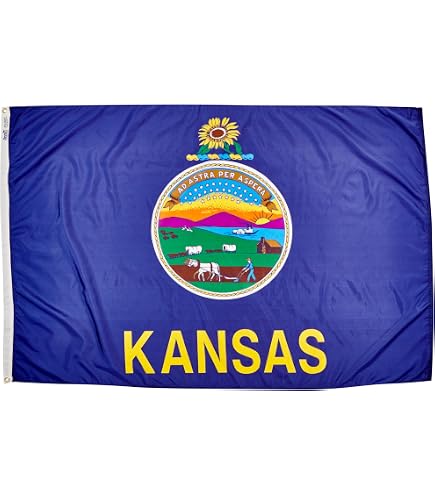 FlagSource Bandiera Stato Wisconsin In Nylon - 4x6 Ft, Prodotta In USA, Colori Resistenti