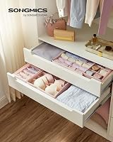 SONGMICS Set of 4 Underwear Drawer Organisers Foldable RUS04PK Jelly Pink view 2