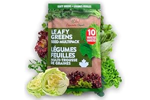 Leafy Greens Variety Pack – Hydroponic/Indoor/Outdoor. Heirloom Lettuce Seeds, Spinach Seeds, Arugula Seeds, Kale Seeds and M