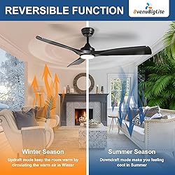 BvenuBigLite Ceiling Fan with Light Modern: 52 Inch