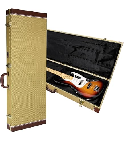 Amazon.com: Hofner Violin Bass Guitar Case : Musical Instruments