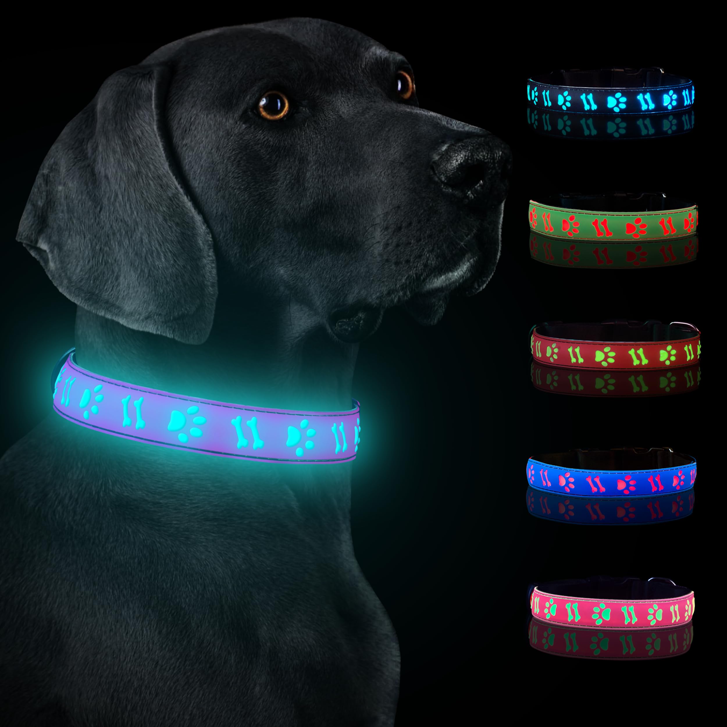 LeZampa Light up Dog Collar Rechargeable, LED Dog Collar Light with 15-in-1 Modes, Night Safety Flashing Dog Collar Lights for the Dark – Adjustable Dog Light up Collar (Small, Pink)