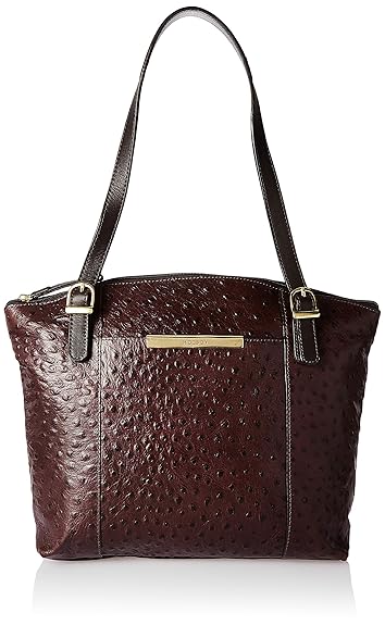 Hidesign Womens Handbag (Brown)