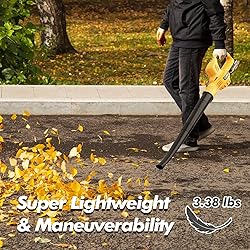 Leaf Blower Cordless with 2 Batteries and