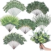 Ceenna 300 Pcs 6 Kinds Mixed Greenery Stem Artificial Faux Eucalyptus Leaves Silver Dollar Eucalyptus Picks and Sprays for Vase Dried Fake Greenery Filler Leaves Bundle for Wedding Floral Arrangement