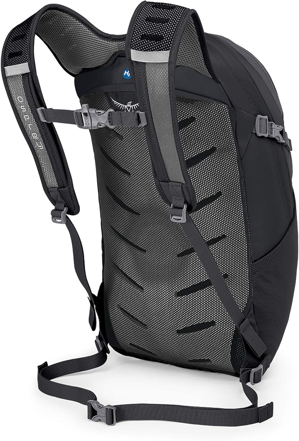 Osprey Packs Daylite Plus Daypack, Black: Sports & Outdoors