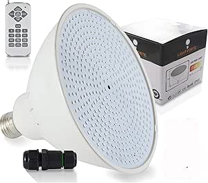 inground pool light switch