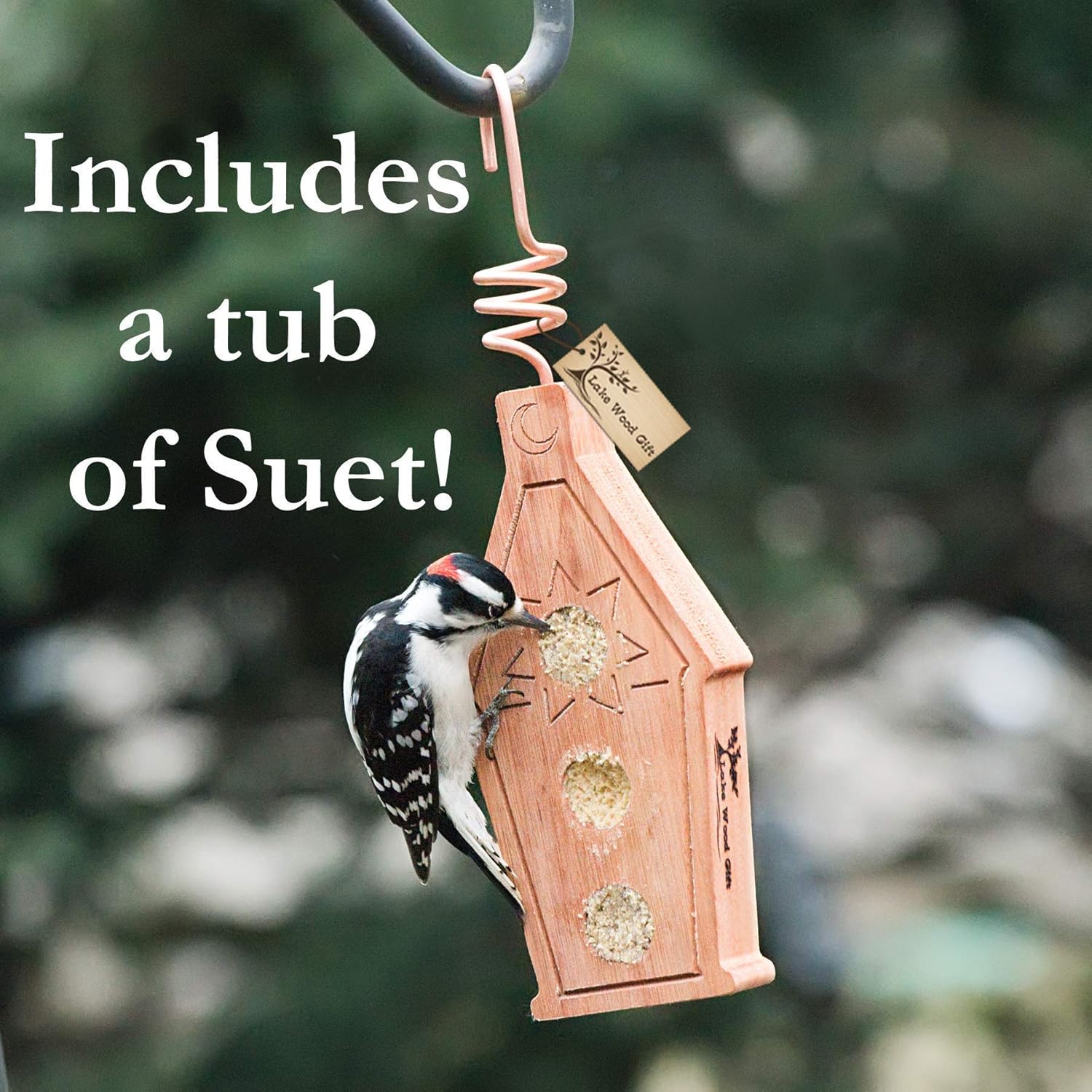Amazon Com Lakewoodgift Best Homemade Mini House Hanging Bird