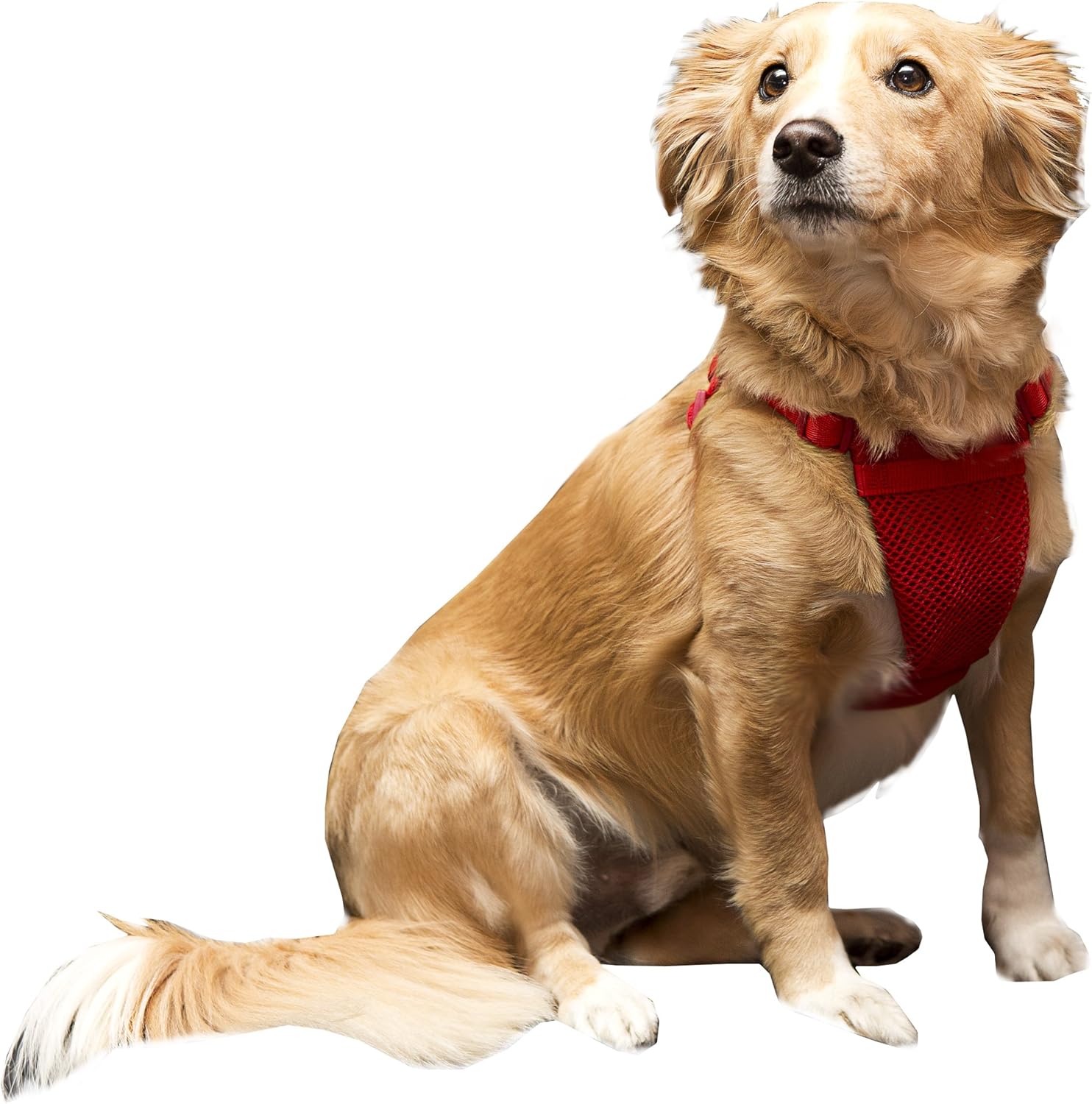 sporn comfort harness