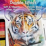 Artworx 72 Premium Watercolour Pencils Set - 72 Colour Art Pencils view 2