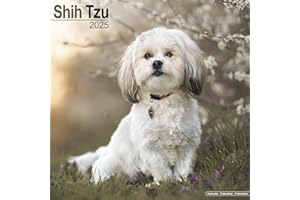Shih Tzu Calendar 2025 | Square Dog Breed Wall Calendar - 16 Month