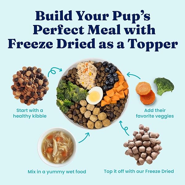 SOLID GOLD FREEZE DRIED DOG FOOD – W/REAL BEEF, PUMPKIN & SUPERFOODS – FREEZE DRIED RAW DOG FOOD TOPPERS FOR PICKY EATERS TO SERVE AS A NUTRIENT-DENSE MEAL TOPPER OR HIGH PROTEIN TREATS – 1.5OZ