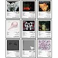 IZOOMIHOME Deftones Music Poster, Album Cover Limited
