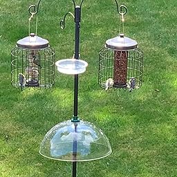 Gardman Squirrel Baffle Bird Feeding Station Clear 12 5 X 14 5 X