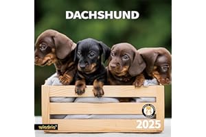 WINDRIO 2025 Wall Calendar,Calendar 2025, January 2025 - December 2025, Wall Calendar Dachshund, 12" x 24" Opened,Full Page Months Thick & Sturdy Paper for Gift Perfect Calendar Organizing & Planning