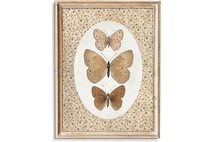 uniro Vintage Butterfly Canvas Wall Art, Bedroom Bathroom Shelf Retro Butterfly Illustration Room Decor, Canvas Prints, Posters Wall Decor Antique Paintings Home Farmhouse Wall Decor