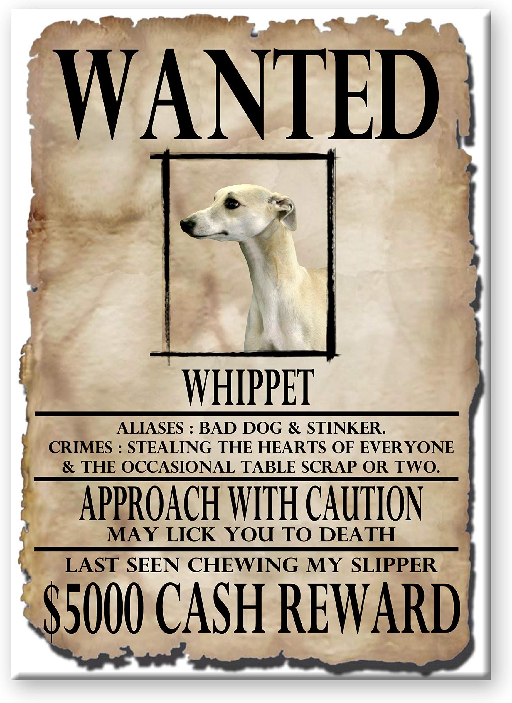 Whippet Wanted Fridge Magnet