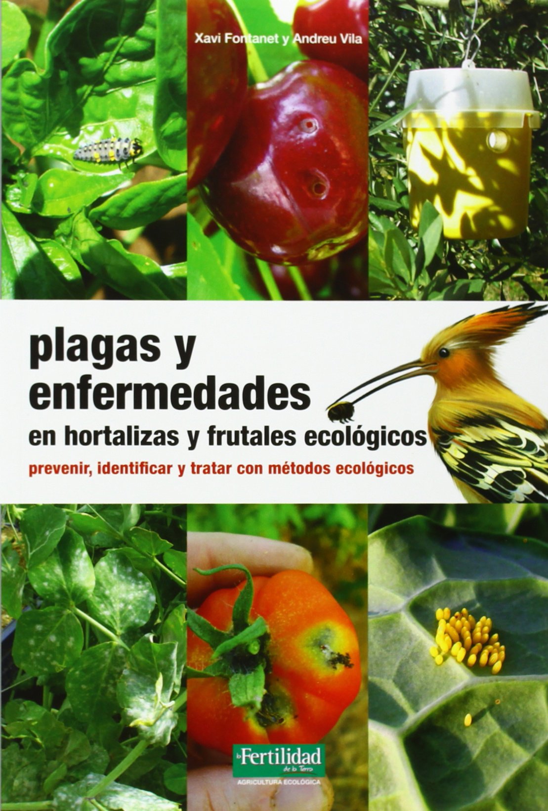 Plagas y enfermedades en hortalizas y frutales ecológicos: prevenir, identificar y tratar con mètodos ecológicos: 18 (Guías para la Fertilidad de la Tierra)