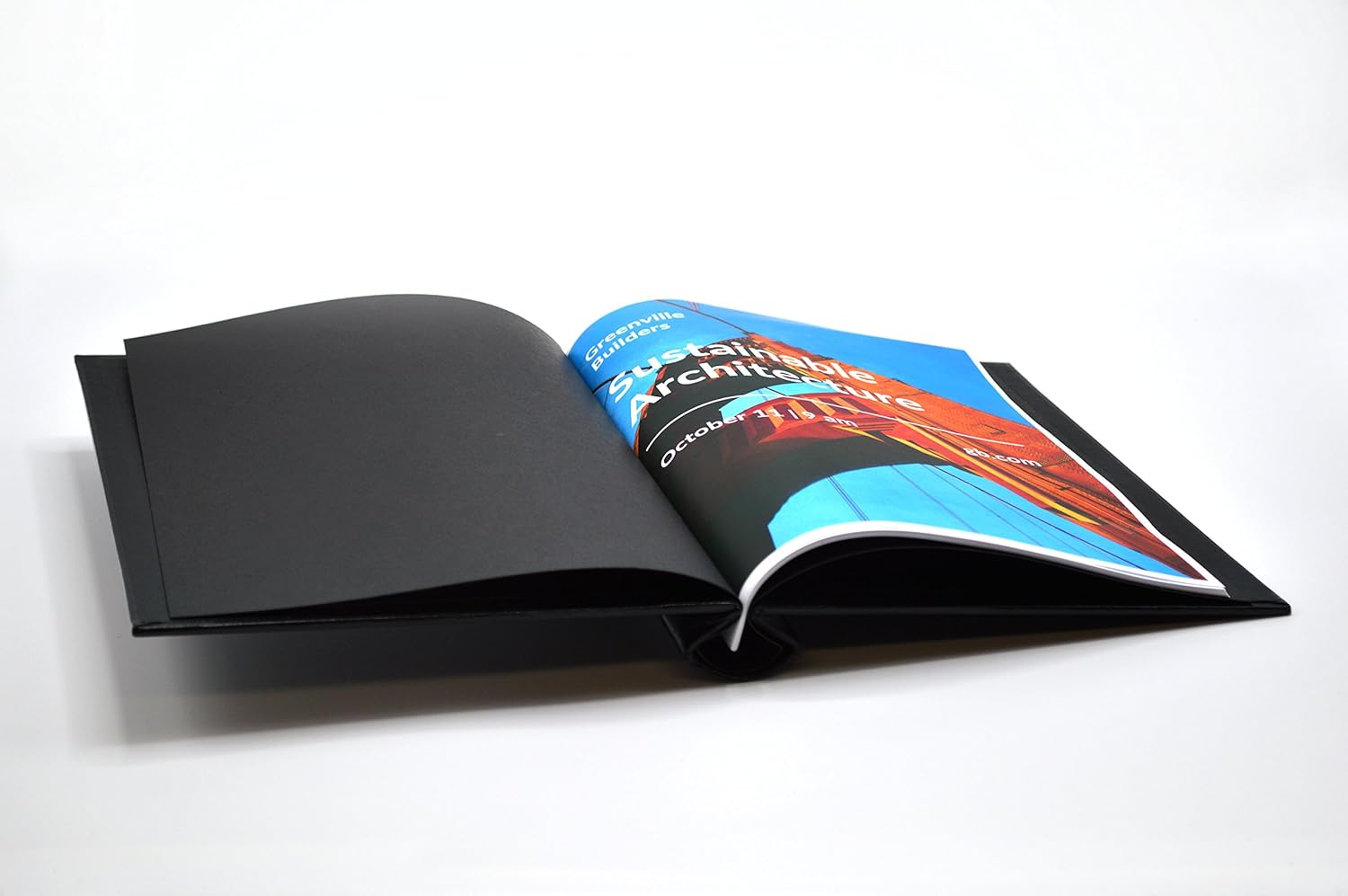 What is a dissertation picture