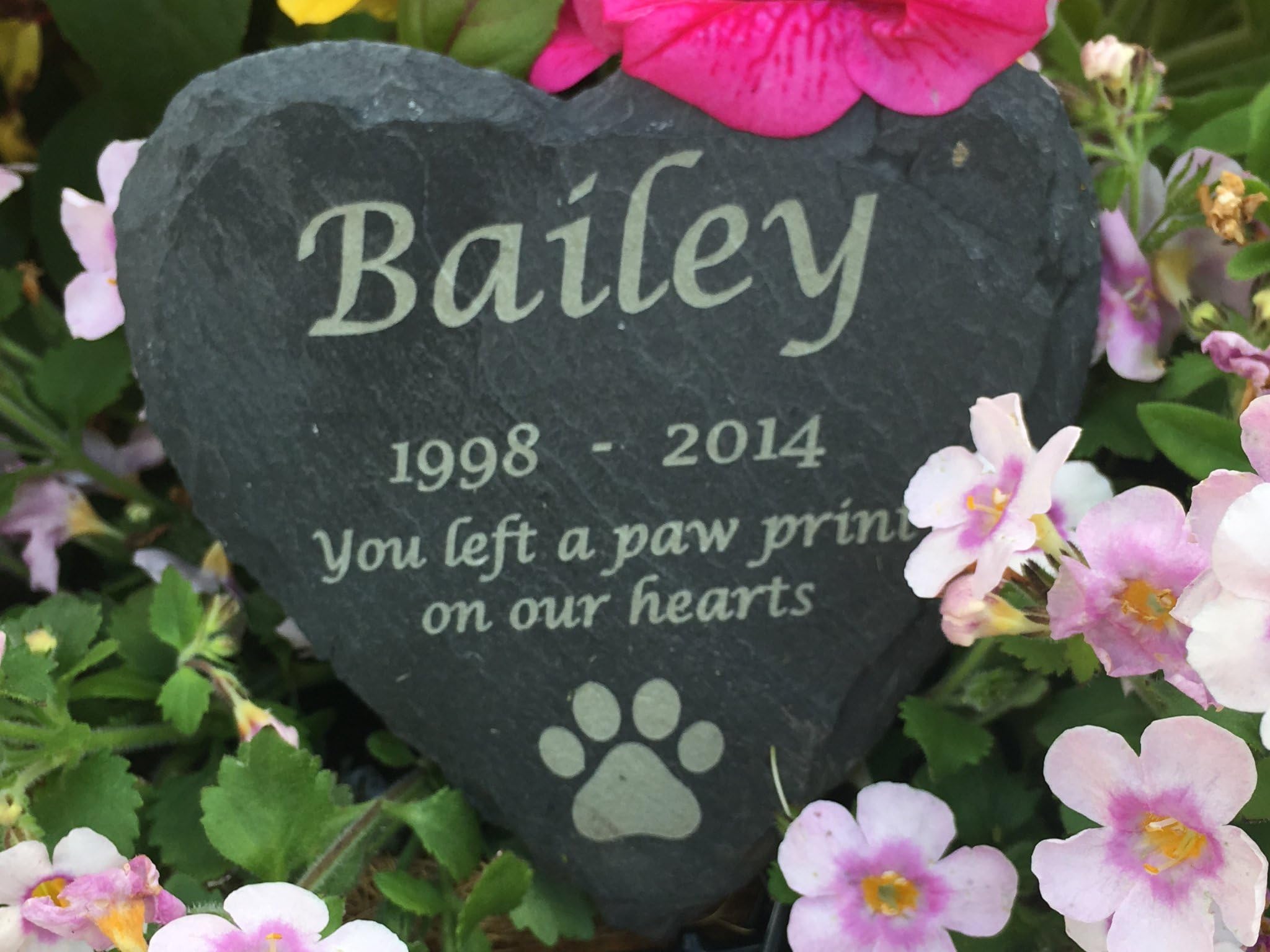 Nooster Designs Personalised Engraved Slate Stone Heart Pet Memorial Grave Marker Plaque