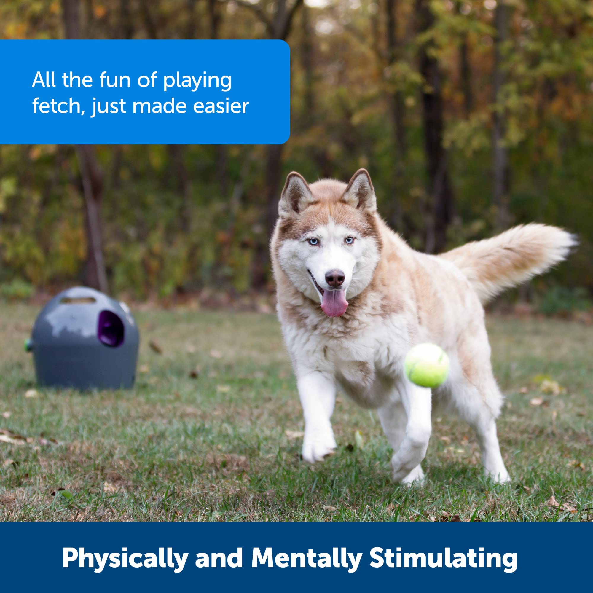 PetSafe Automatic Ball Launcher - Interactive Fetch Game - Hands-Free Fetch Training - Adjustable Range - Includes Tennis Balls - Indoor Outdoor Play - Motion Sensors - Automatic Sleep Mode