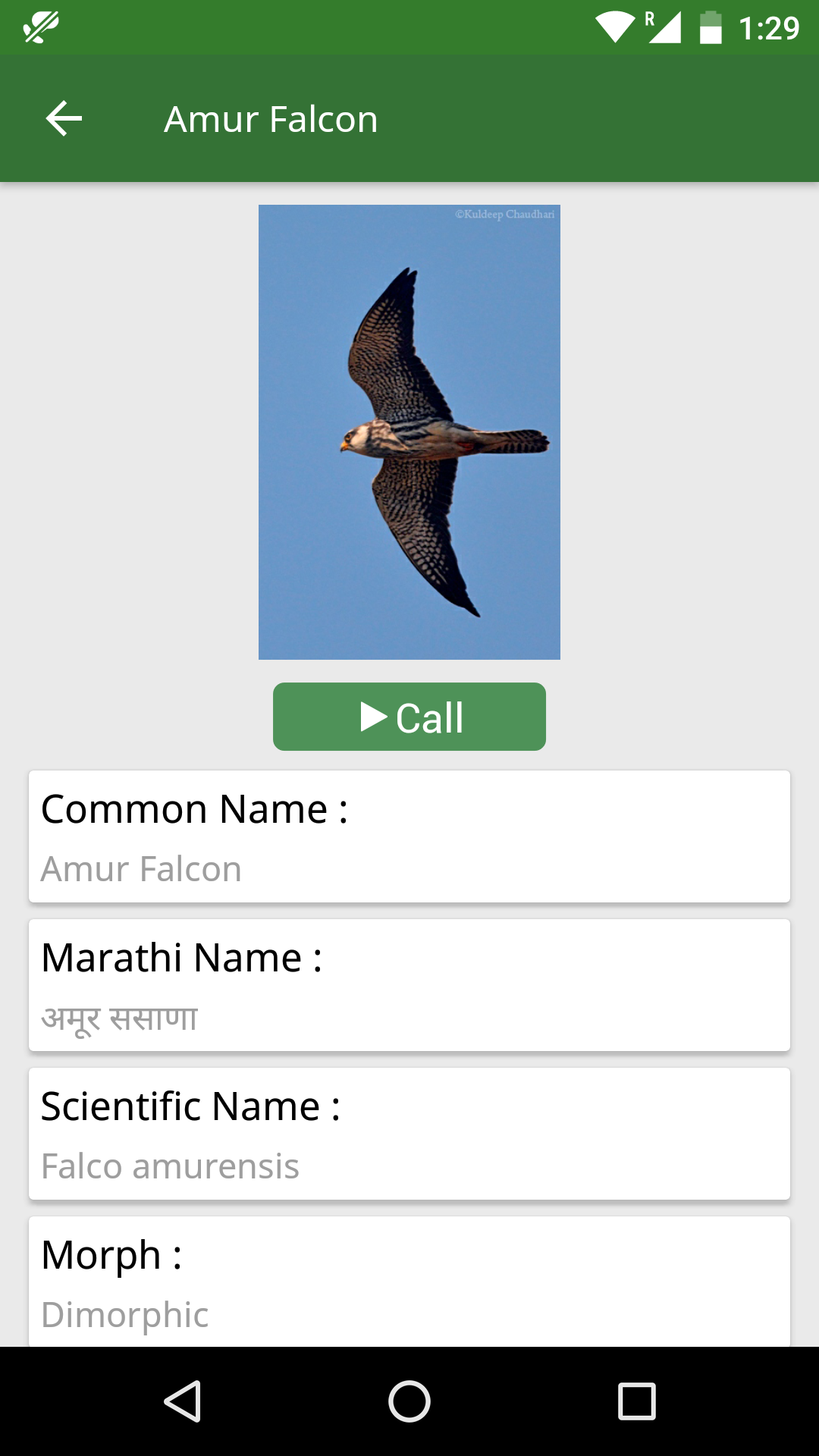 Amazoncom Vasai Birds Appstore For Android