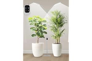 GLOWRIUM Grow Lights for Indoor Plants,Plant Light with 3/9/12/16H Grow Light Timer,2-Head 48W Full Spectrum LED Grow Light, 3 Lighting Mode and Stepless Dimming (White, 48W)