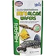 Hikari HK 3OZ MINI ALGAE WAFERS Everything Else