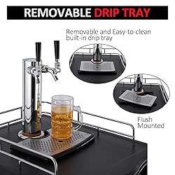 Beer Kegerator Dual Tap Draft Beer Dispenser 6.1