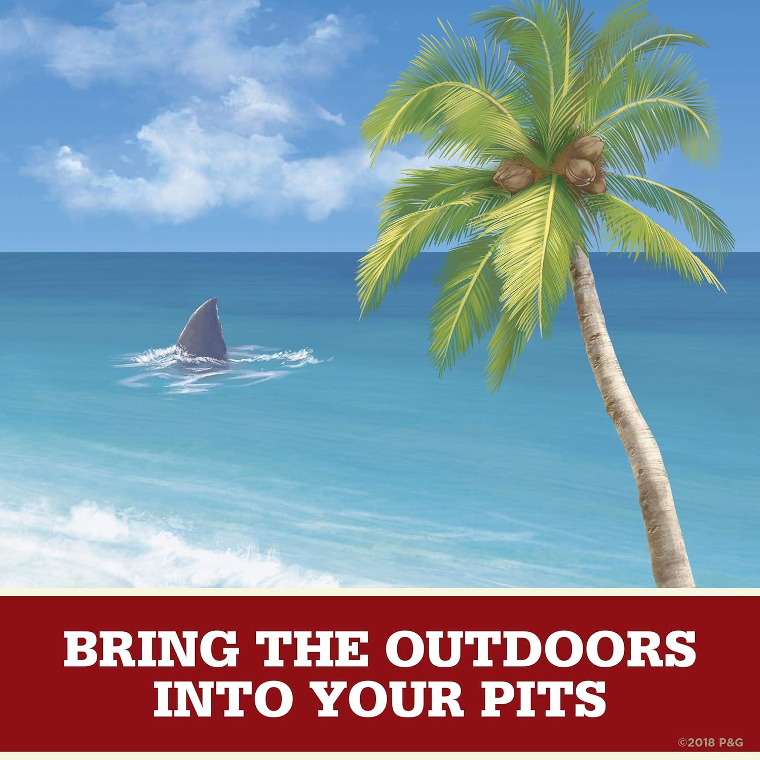 Old Spice Aluminum Free Deodorant for Men, Fiji with Palm Tree Scent, 3.0 Ounce, (Pack of 3) : Beauty