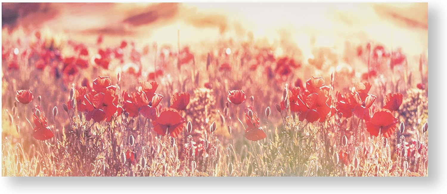 Amazon Com Graham Brown Peaceful Poppy Fields Wall Art Red Home Kitchen