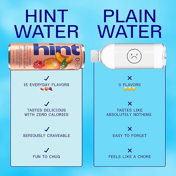 HINT SPARKLING WATER, PEACH RASPBERRY – CANNED FLAVORED WATER BEVERAGES WITH ELECTROLYTES, ZERO CALORIES, AND SUGAR FREE – 12 FL OZ CANS (PACK OF 12)