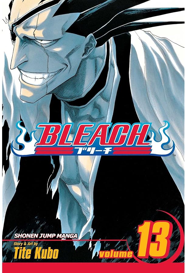 Amazon.com: Bleach, Vol. 11: 9781421502717: Tite Kubo: Books