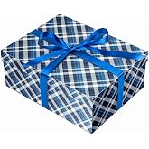 ysmile Blue Gift Box with Lid for Present Large Collapsible Gift Box with Filler Paper Ribbon for Birthday Anniversary 12.6x9.8x4.9 - Plaid Design