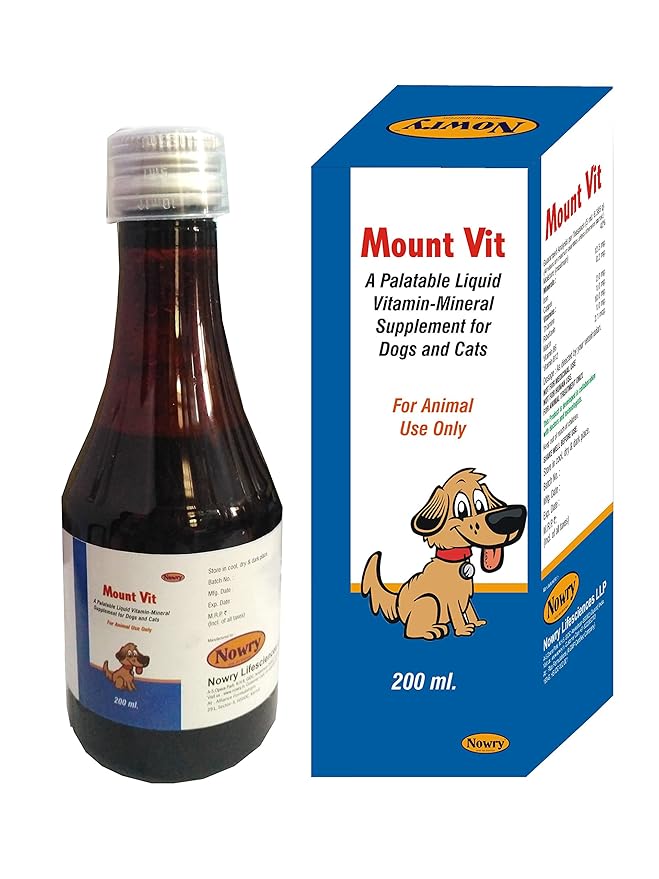 3 foot leather dog leash