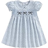 Santikisler Toddler Baby Girl Summer Clothes Polo Short Sleeve Bow Embroidery Floral Dress Princess A-line Sundress