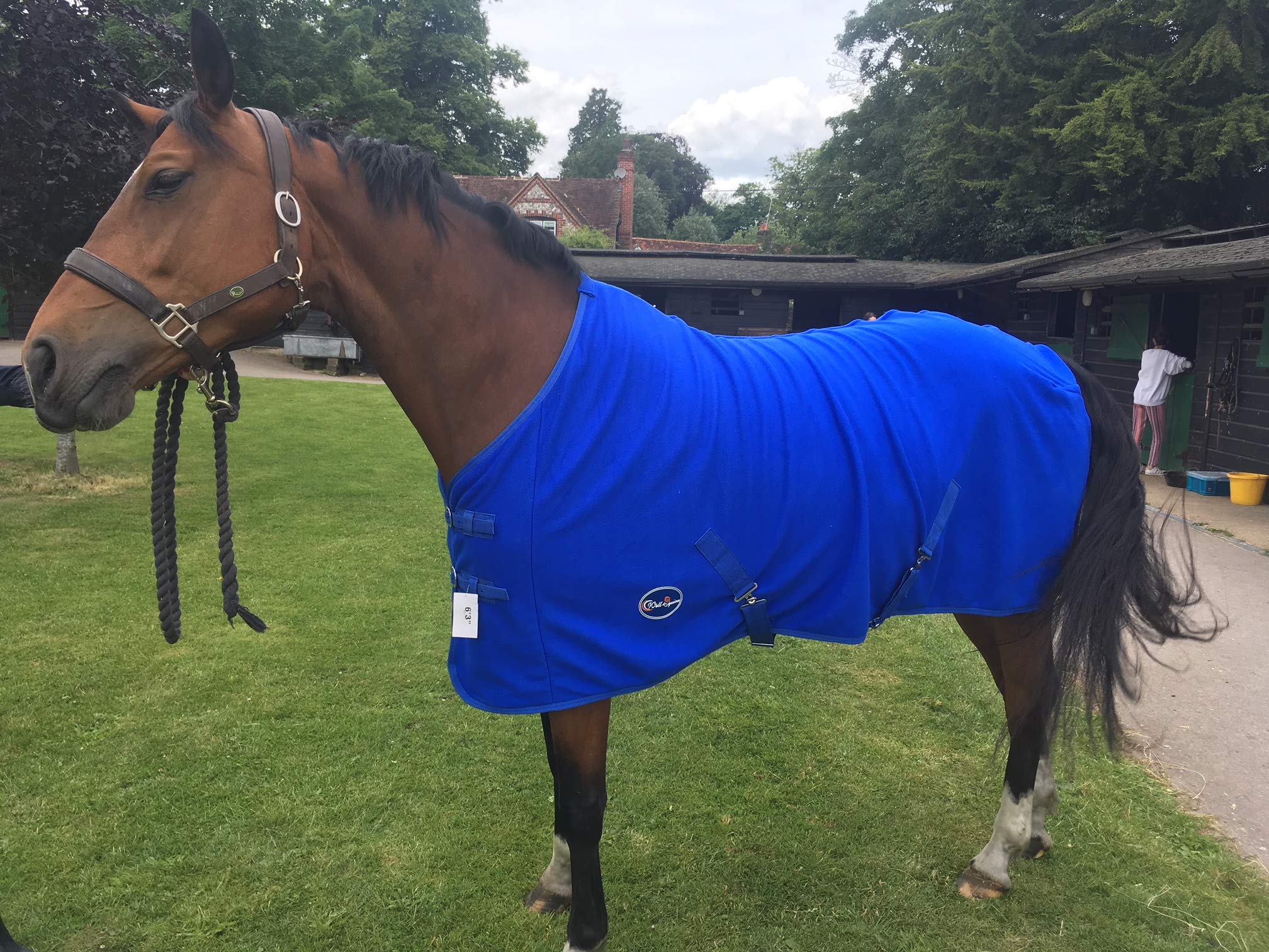 Cwell Equine New HORSE COB PONY SHOW TRAVEL FLEECE RUG stable cooler choice of sizes Royal Blue (6'9")