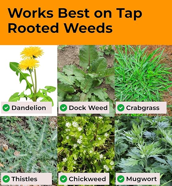 CRAFT911 STAND UP WEED PULLER TOOL WITH LONG HANDLE – DANDELION WEEDING TOOL, NO MORE BENDING