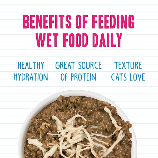 WERUVA BFF MINCED NATURAL WET CAT FOOD, BIG FELINE FEAST VARIETY PACK, 10OZ CAN, PACK OF 12
